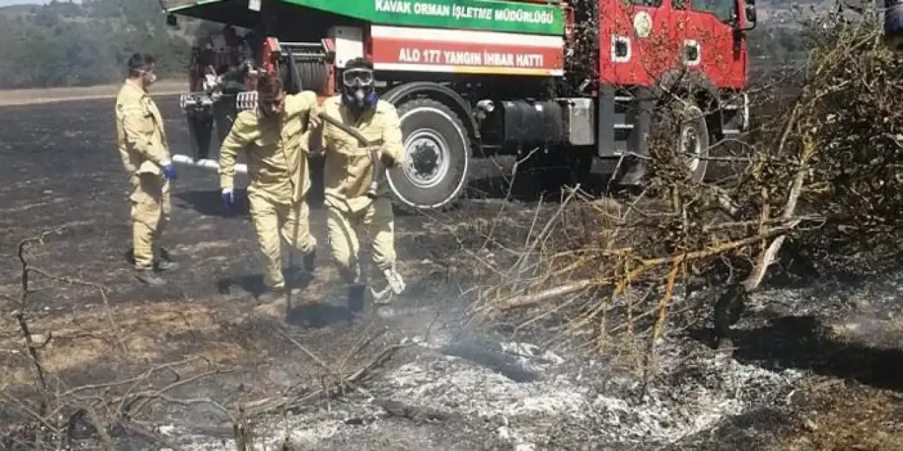 Samsunda tarım arazisinde yangın çıktı!
