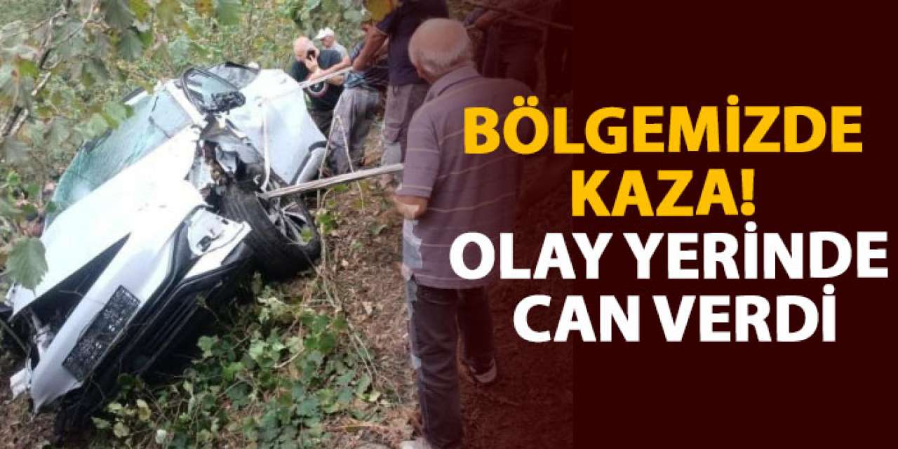 Bölgemizde kaza! Olay yerinde can verdi