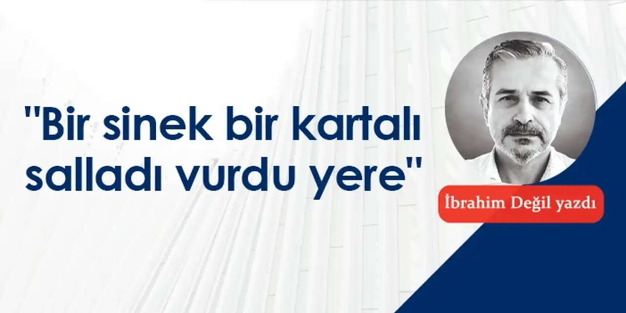 "Bir sinek bir kartalı salladı vurdu yere"
