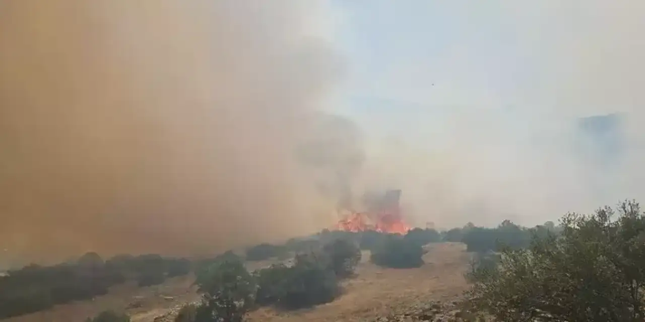 Balıkesir'de orman yangını! Müdahale sürüyor