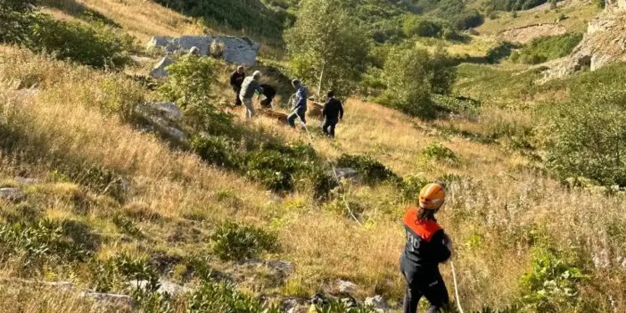 Artvin’de yamaçtan düşen ineğin yardımına koşuldu!