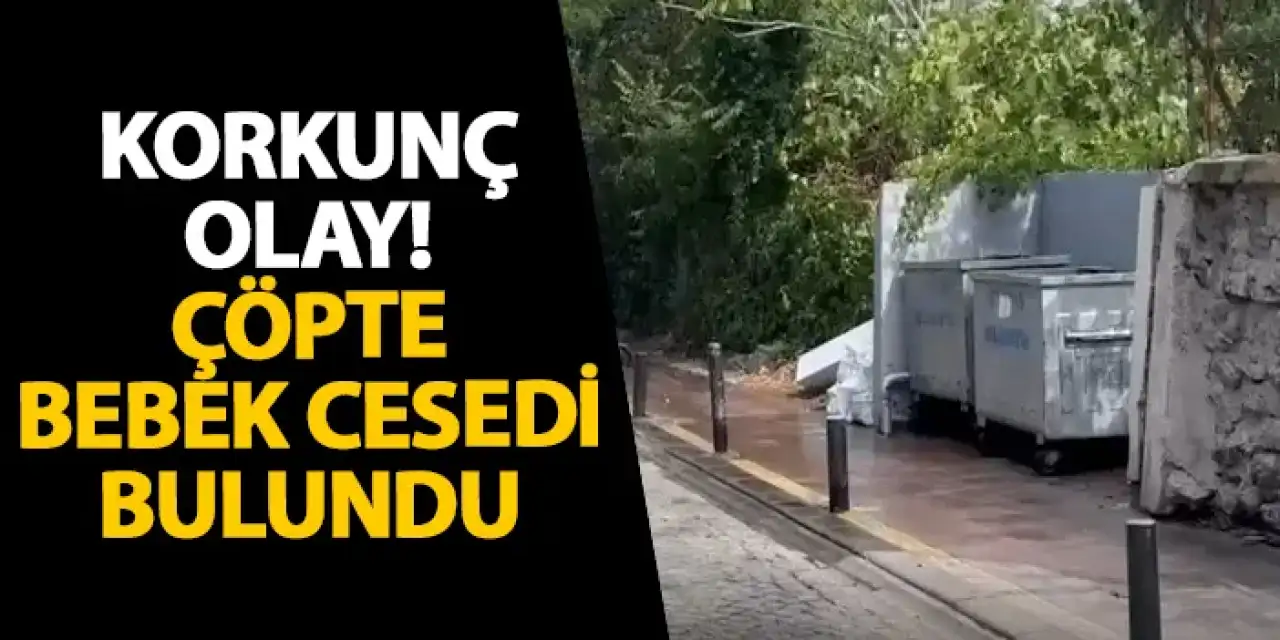 İstanbul’da korkunç olay! Çöpte bebek cesedi bulundu