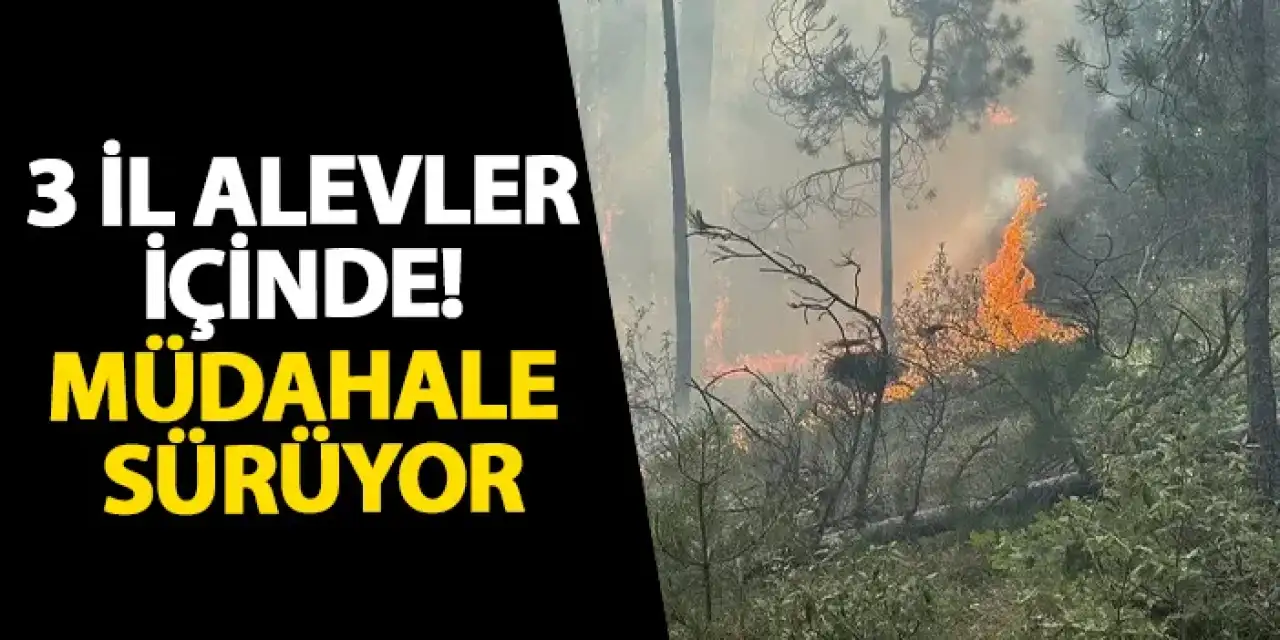 3 il alevler içinde! Müdahale sürüyor