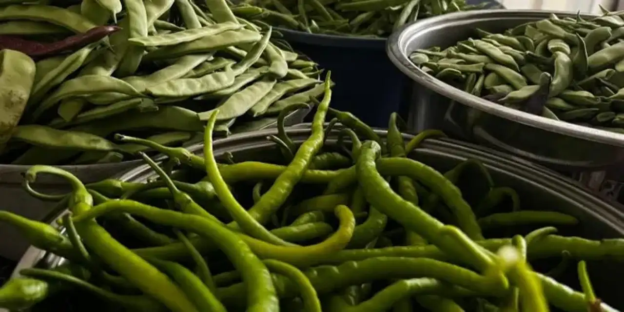 Bayburt'ta kadınların kışlık turşu hazırlığı!