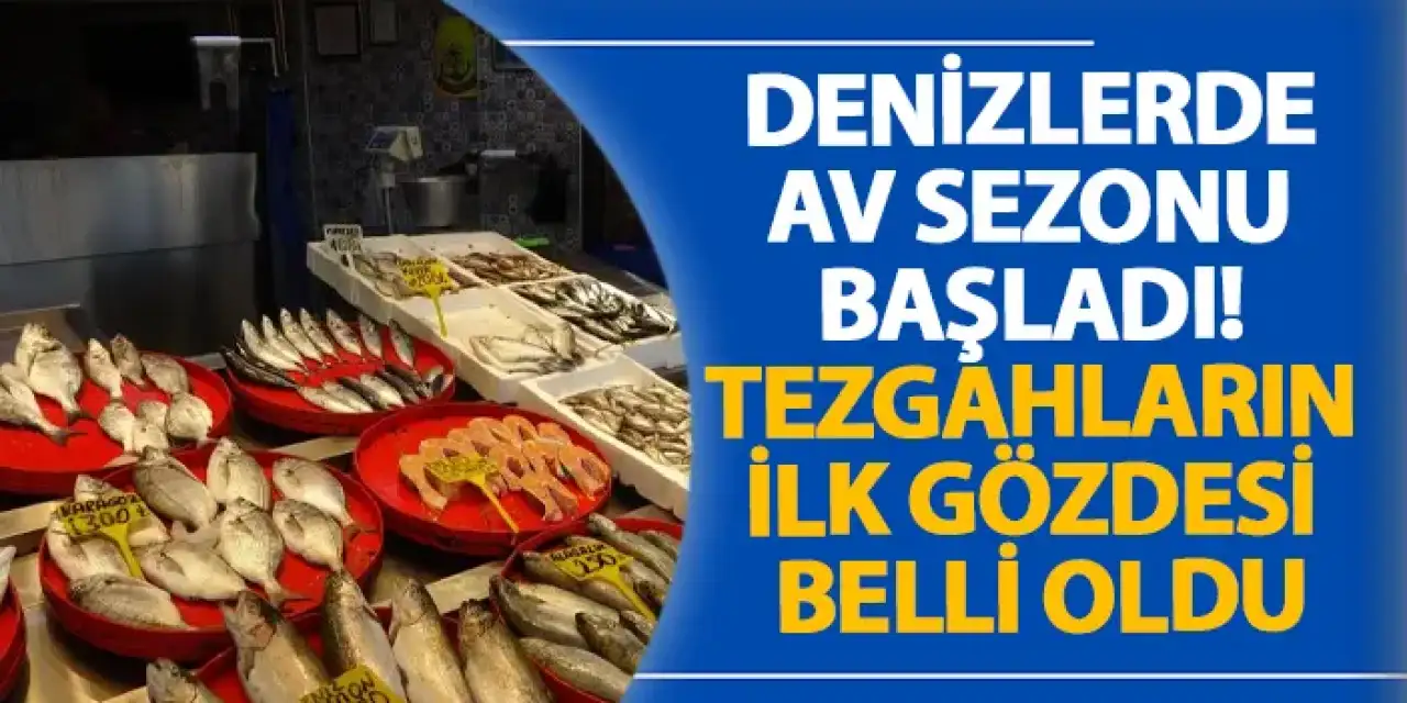 Denizlerde av sezonu başladı! Tezgahların ilk gözdesi belli oldu
