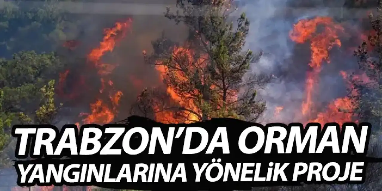 Trabzon'da orman yangılarına yönelik yeni proje!