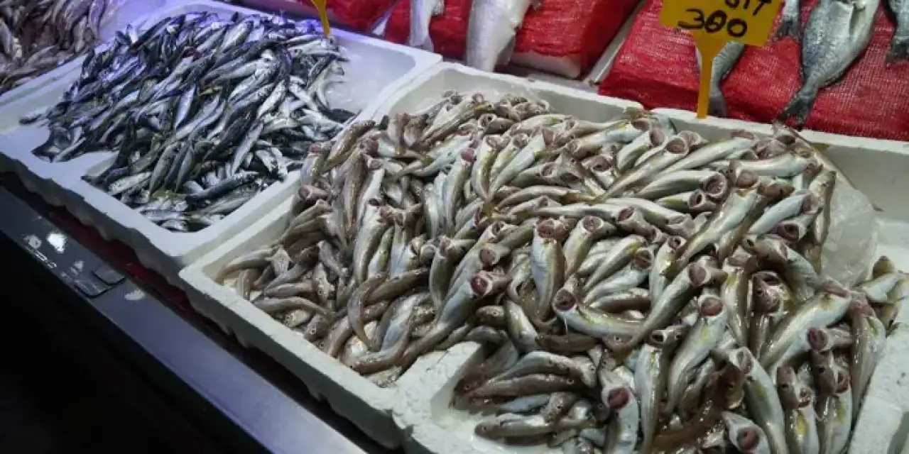 Samsun’da sezonun ilk balıkları görücüye çıktı!