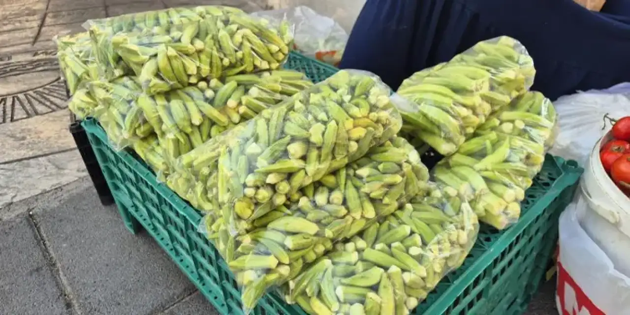 Samsun’da kadınlar bamya satarak ailesine destek oluyor!