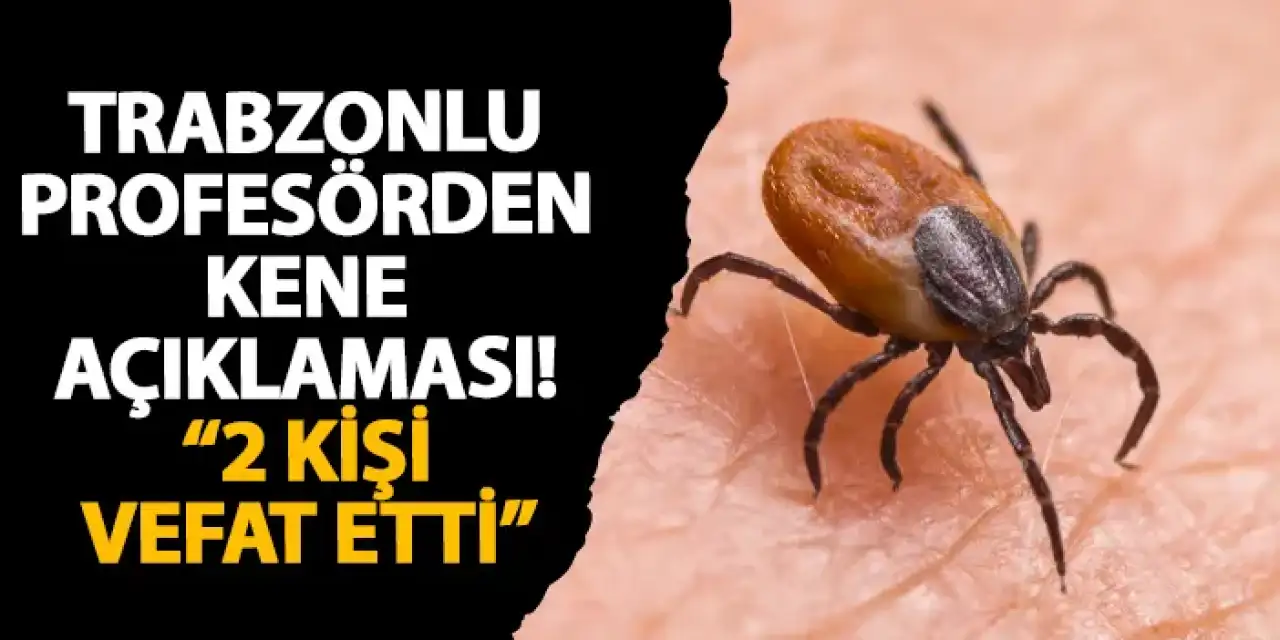 Trabzonlu profesörden kene açıklaması! “2 kişi vefat etti”