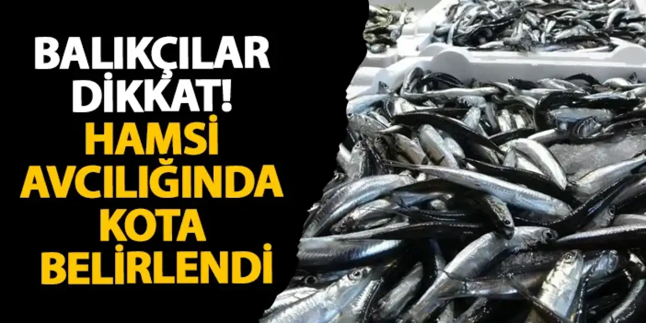 Balıkçılar dikkat! Hamsi avcılığında kota belirlendi