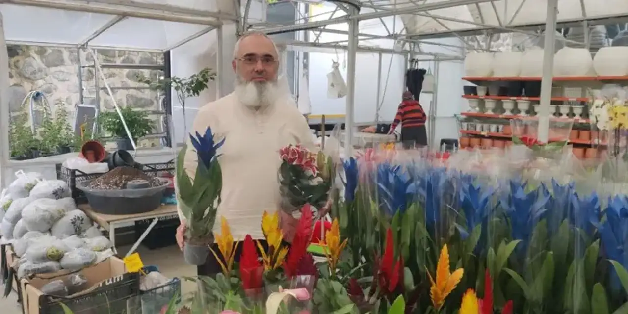 Görenler inanamadı! Rize'de kaktüs büyütüyor