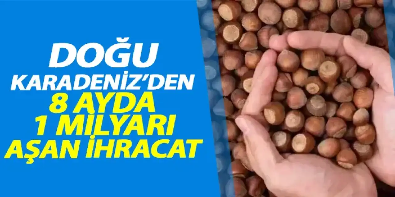 Doğu Karadeniz’den 8 ayda 1 milyar doları aşkın ihracat