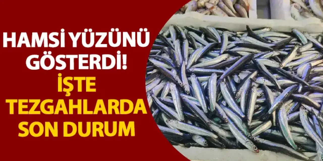 Rize’de hamsi yüzünü gösterdi! İşte tezgahlarda son durum