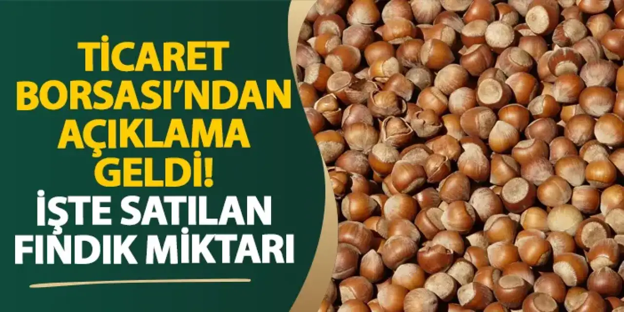 Ticaret Borsası’ndan açıklama geldi! Satılan fındık miktarı