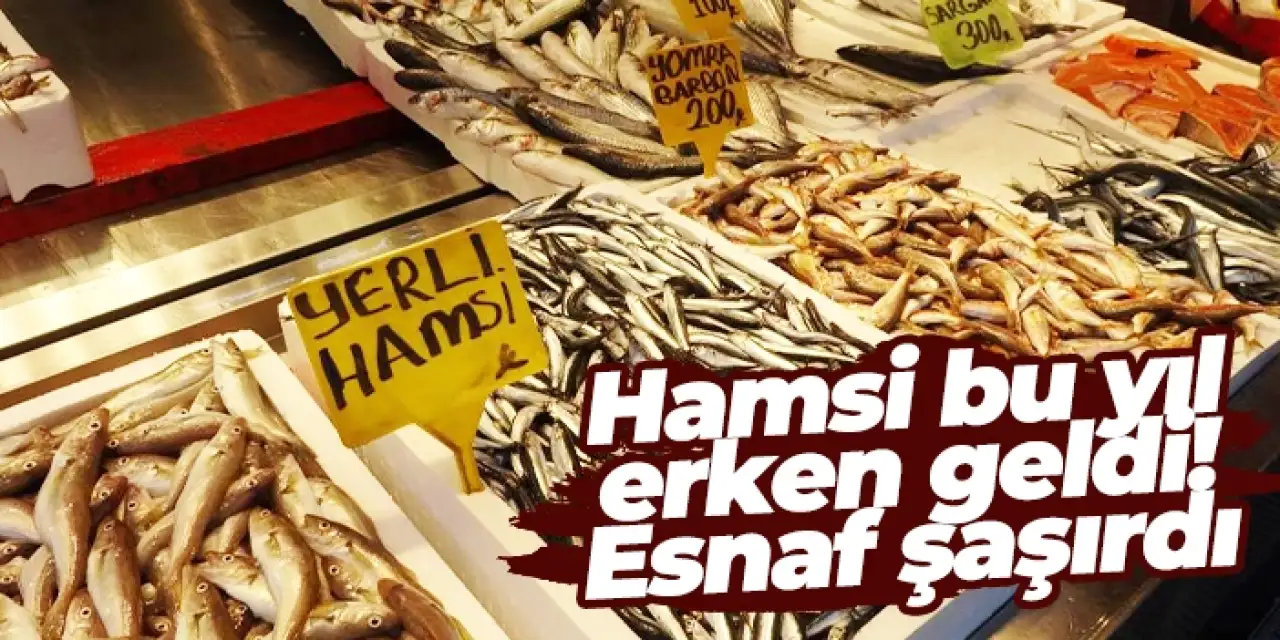 Hamsi bu yıl erken geldi! Esnaf şaşırdı...