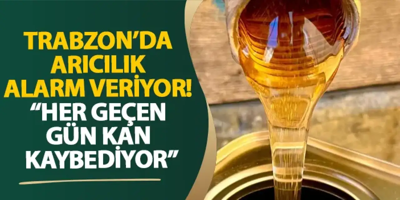 Trabzon’da arıcılık alarm veriyor! “Her geçen gün kan kaybediyor”