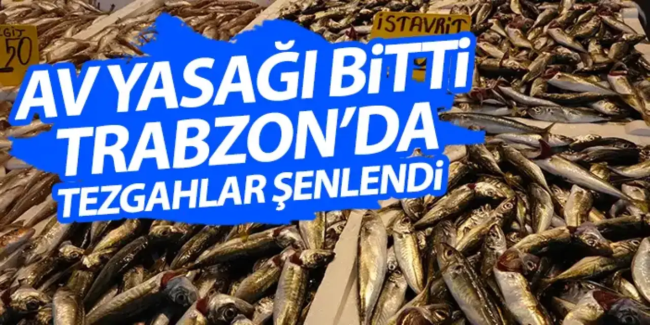 Karadeniz'de av yasağı bitti Trabzon'da balık tezgahları şenlendi