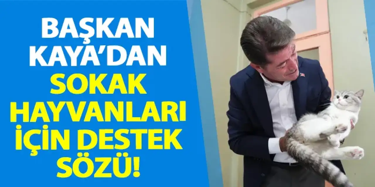 Başkan Kaya'dan sokak hayvanları için destek sözü!