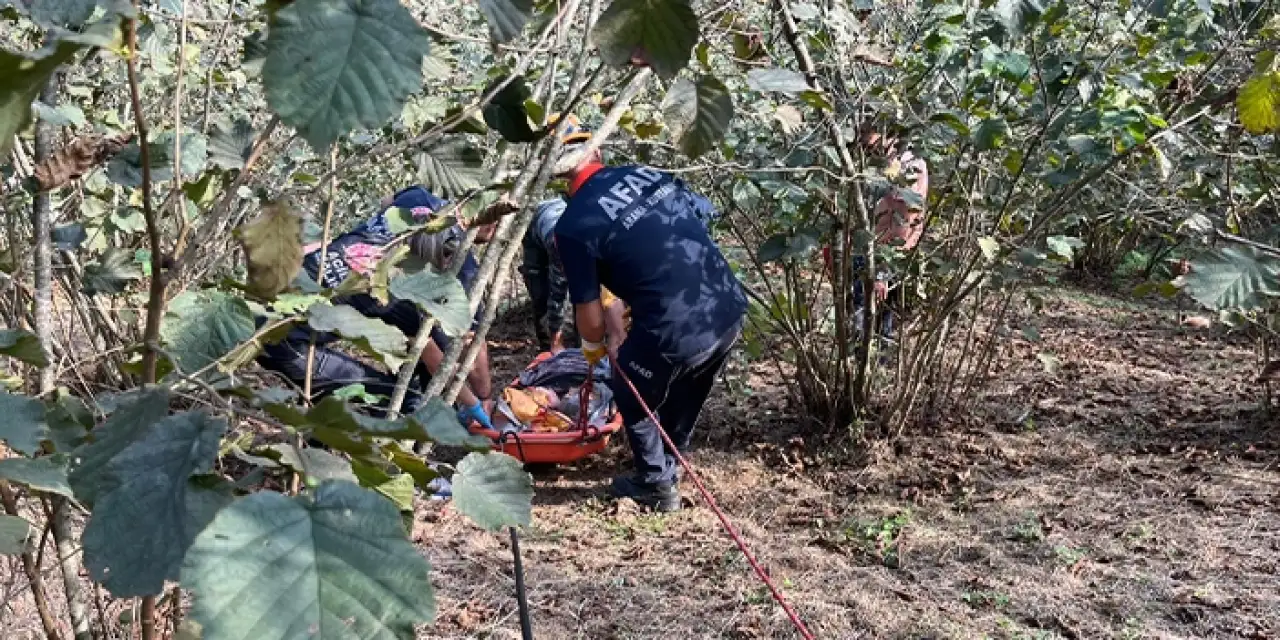 Giresun’da fındık bahçesinde fenalaşan kadın AFAD ekiplerince kurtarıldı!