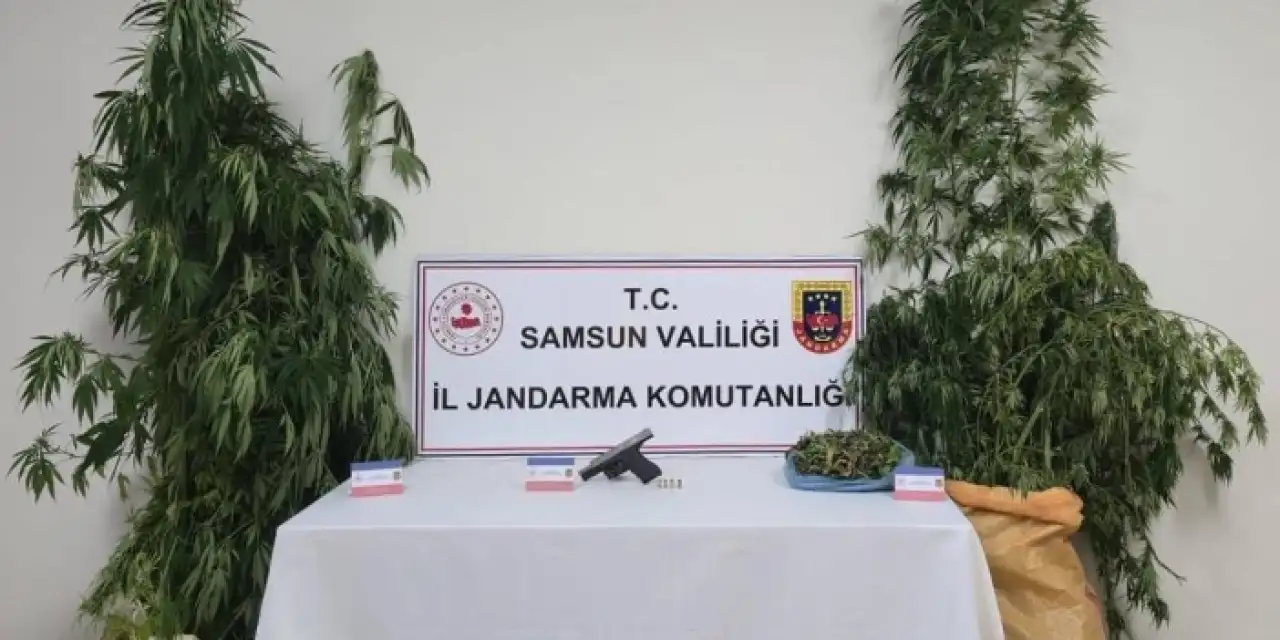 Samsun’da 6 kilo esrar ve kenevir ele geçirildi: 2 kişi gözaltına alındı