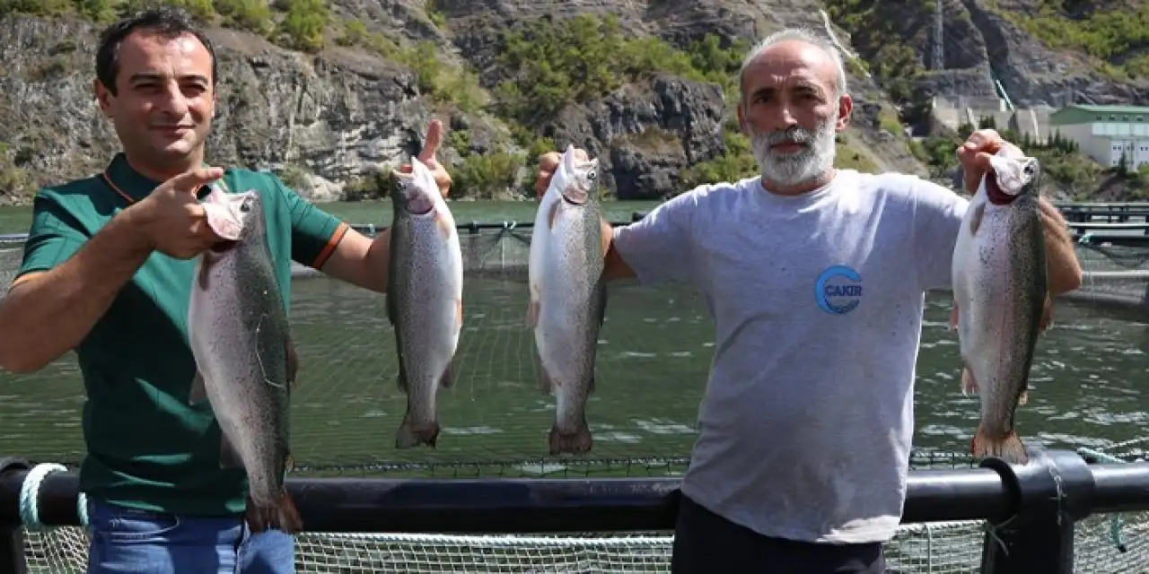 Artvin somon üretiminde zirveye koşuyor: Hedef 100 bin ton