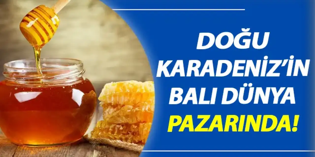 Doğu Karadeniz'in balı dünya pazarında!