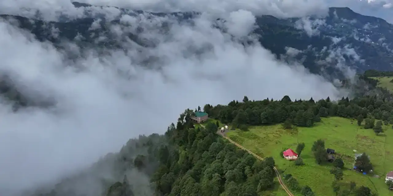 Trabzon’un Kadıralak Yaylası’nda manzara ve vargit çiçekleri büyüledi!