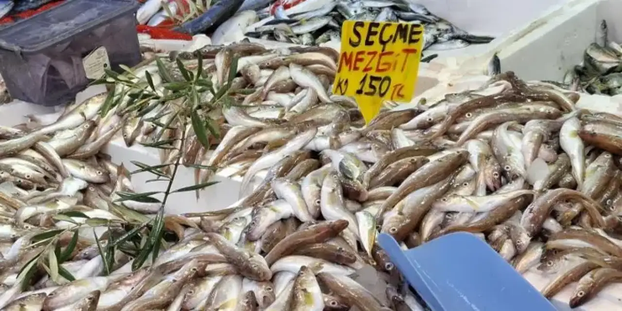 Samsun'da balık tezgahları şenlendi!