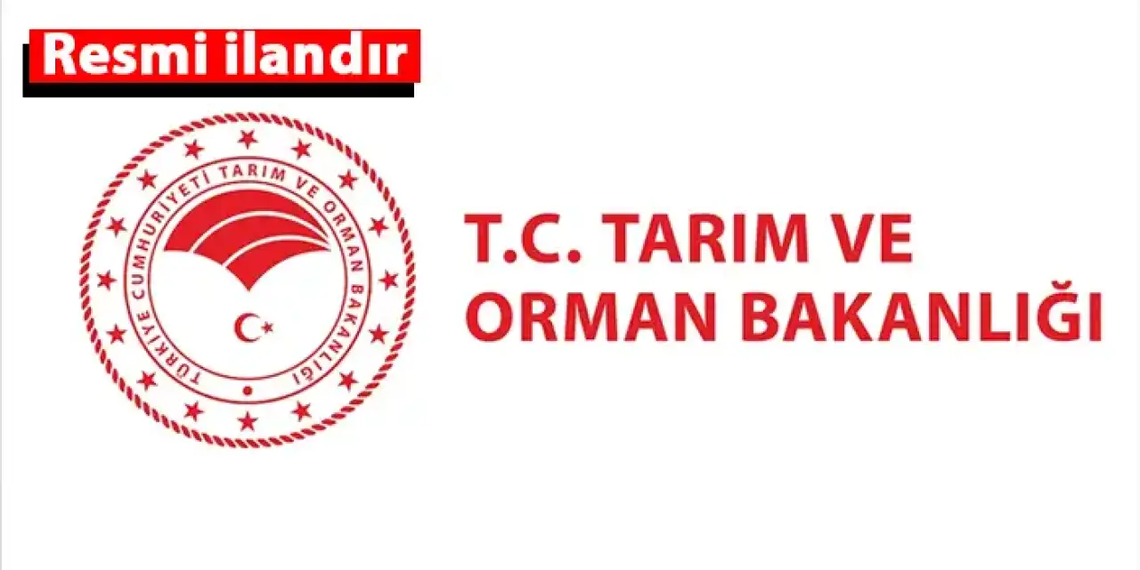 Sürmene Çamburnu Tabiat Parkı Ahşap Yürüyüş Yolu Aydınlatma Yapım İşi