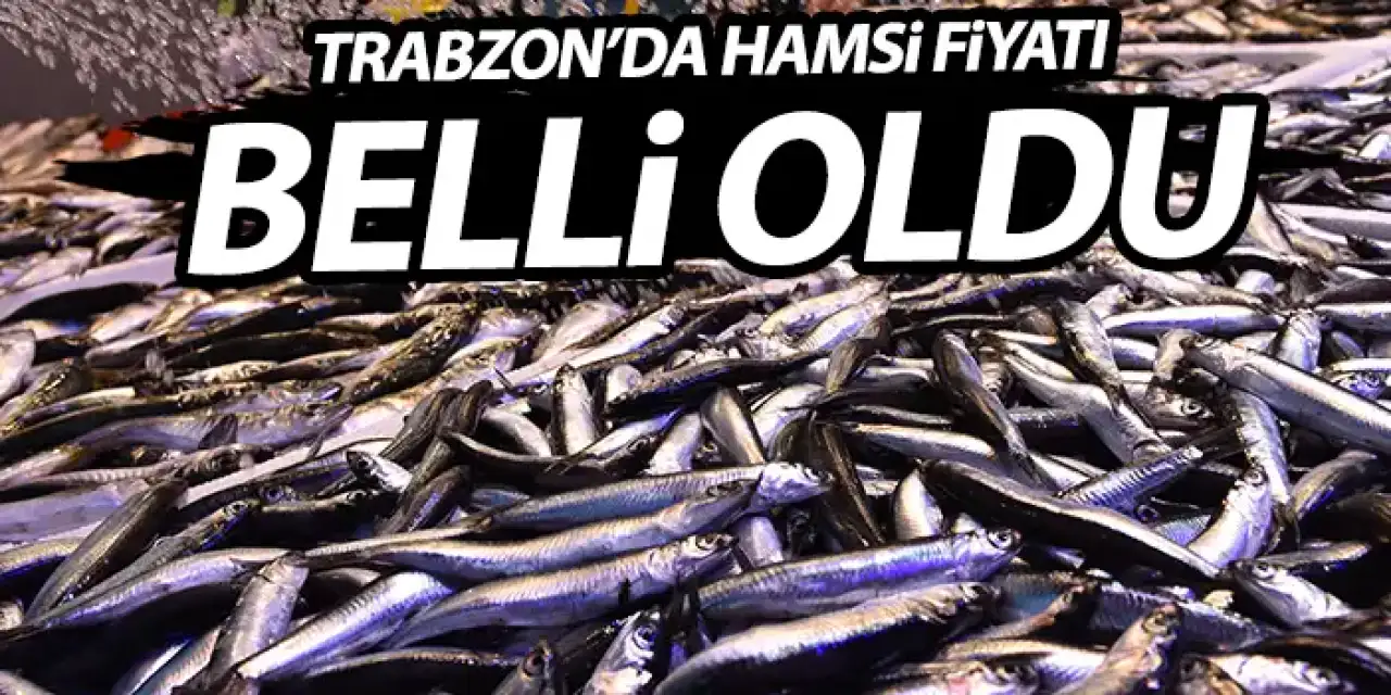 Trabzon'da hamsi fiyatı yüzleri güldürüyor!
