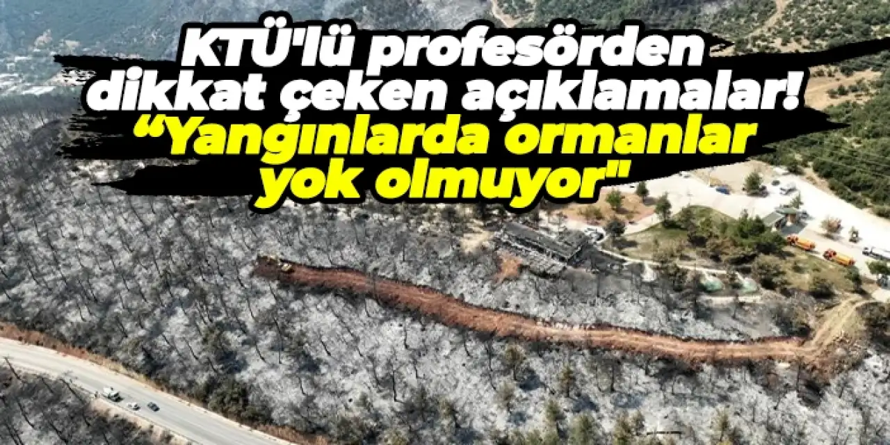 KTÜ'lü profesörden dikkat çeken açıklamalar! “Yangınlarda ormanlar yok olmuyor"
