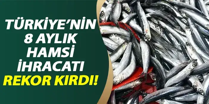 Türkiye 8 aylık hamsi ihracatında rekor kırdı!