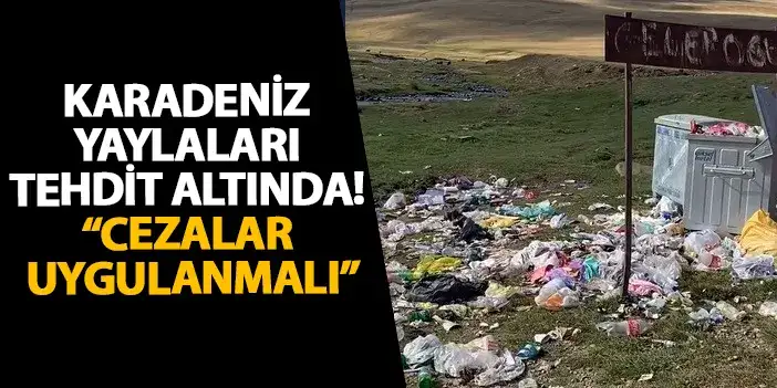 Karadeniz yaylaları tehdit altında! “Cezalar uygulanmalı”