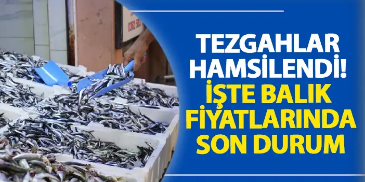Samsun’da tezgahlar hamsilendi! İşte balık fiyatlarında son durum