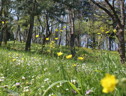 "Oruç tutayım diye bozdum"