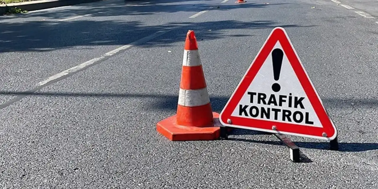 Trabzon’da abart egzoza ceza yağdı!