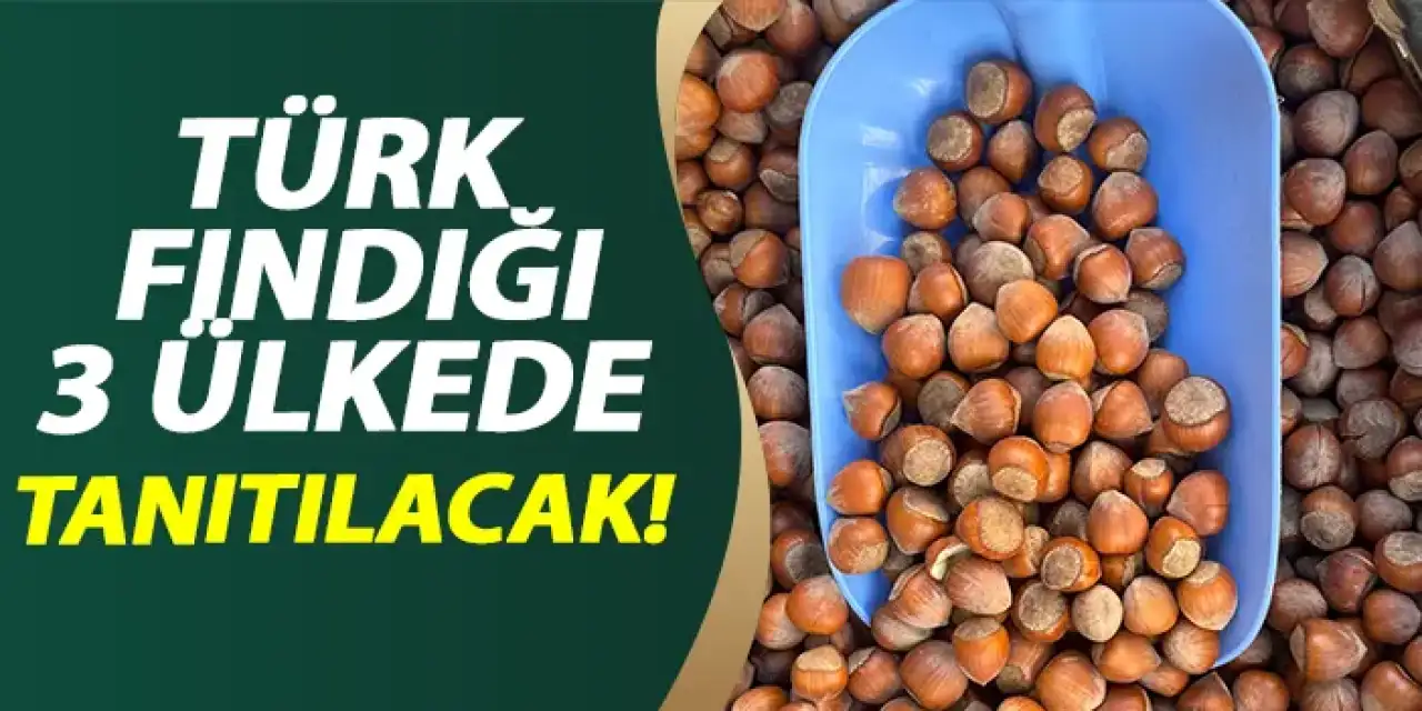 Türk fındığı 3 ülkede tanılacak!