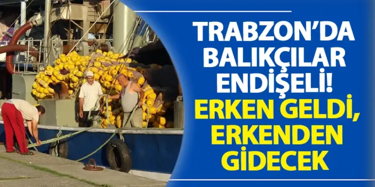 Trabzon’da balıkçılar endişeli! Erken geldi, erkenden gidecek