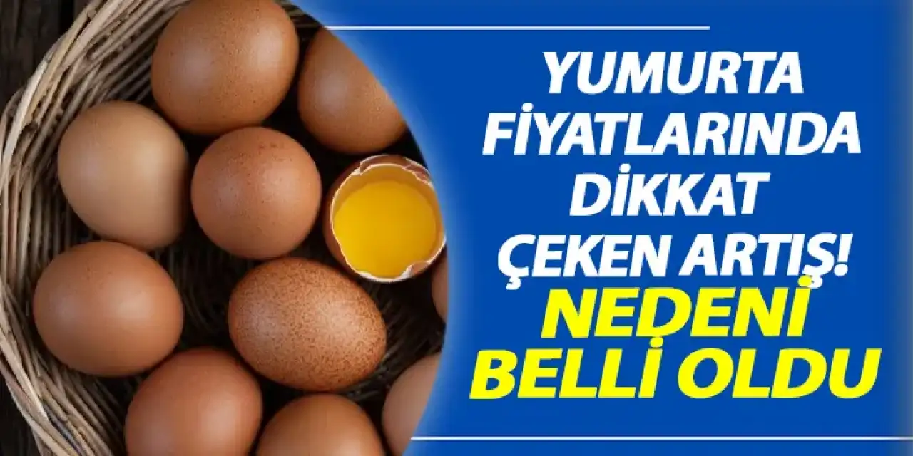 Yumurta fiyatlarında dikkat çeken artış! Nedeni belli oldu