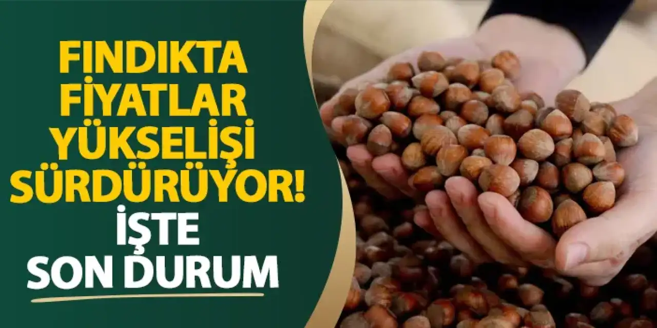 Fındıkta fiyatlar yükselişi sürdürüyor! İşte son durum