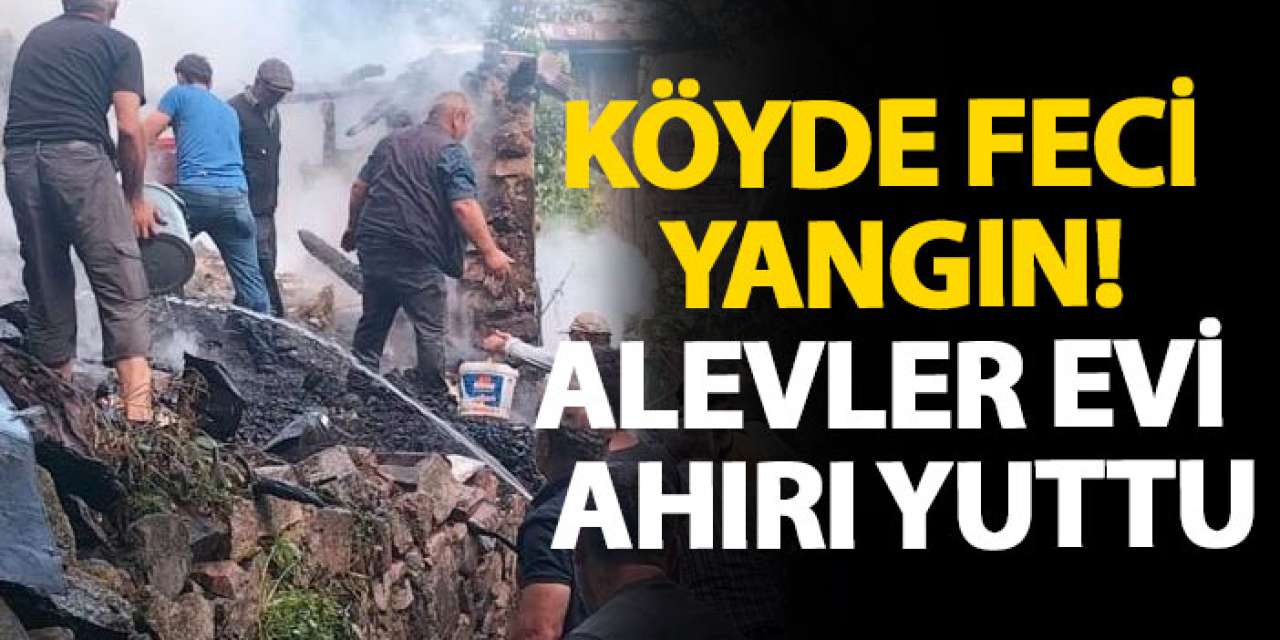Köyde feci yangın! Alevler evi ve ahırı yuttu