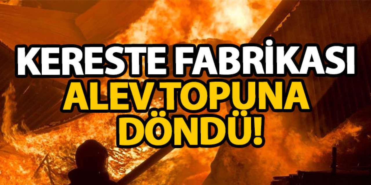Kereste fabrikası alev topuna döndü!