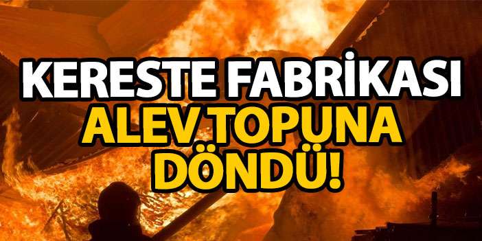 Kereste fabrikası alev topuna döndü!
