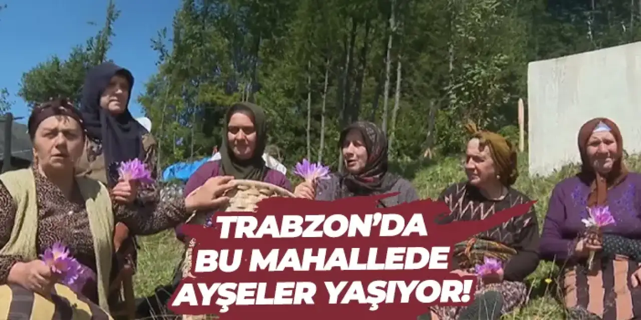 Trabzon’da bu mahallede Ayşeler yaşıyor!