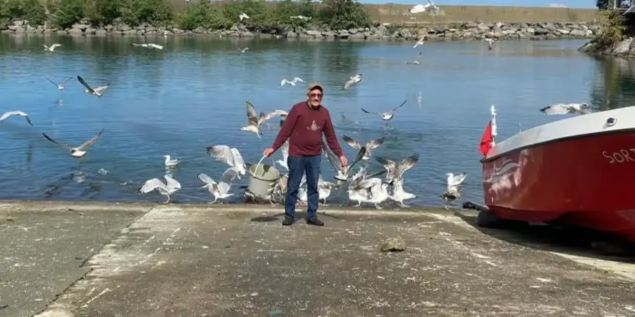 Artvin’de martılarla öyle bir bağ kurdu ki gören inanamıyor!