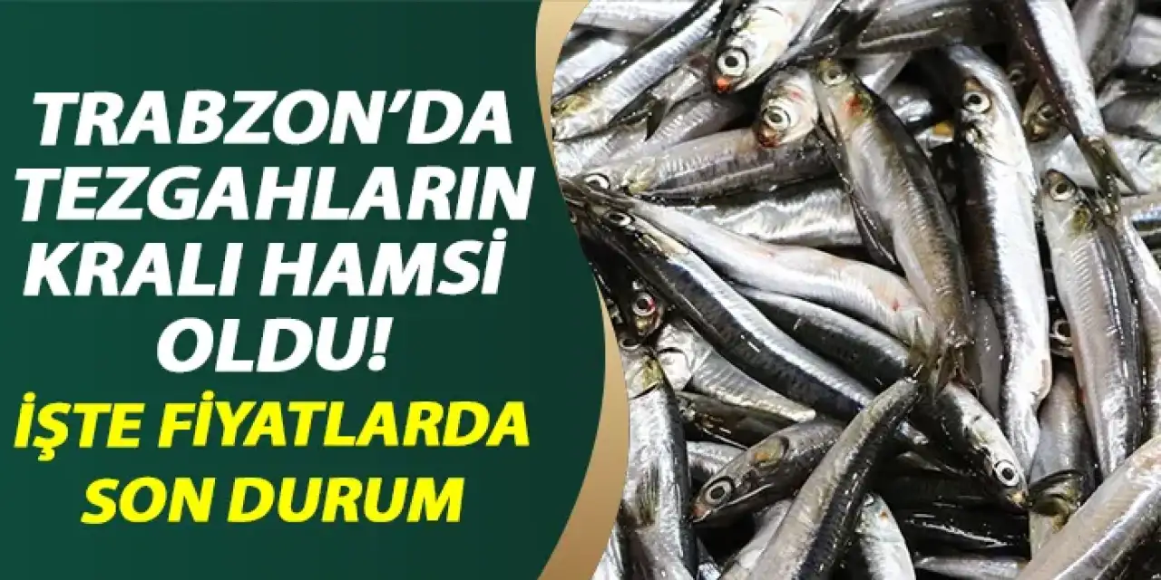 Trabzon’da tezgahların kralı hamsi oldu! İşte fiyatlarda son durum