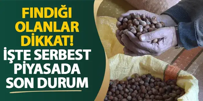 Fındığı olanlar dikkat! İşte serbest piyasada son durum