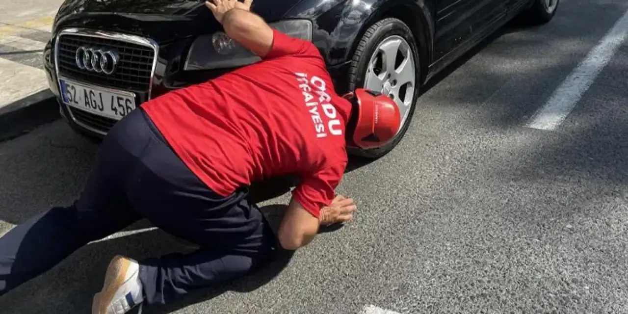 Ordu’da itfaiye mahsur kalan kedinin imdadına koştu