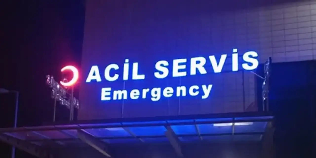 Samsun'da bir vatandaşa domuz saldırdı!