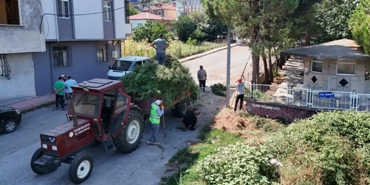 Samsun'da parklar yenileniyor! “Çocuklar güvenle oynasın”